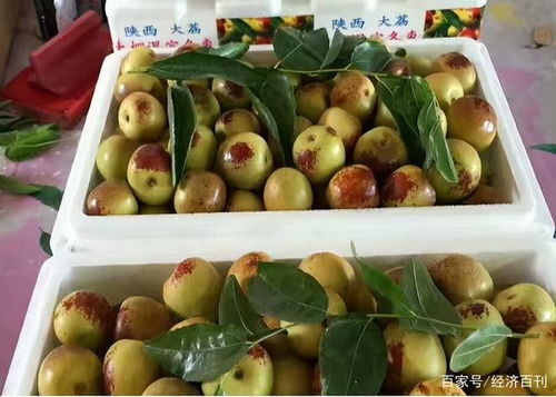 新冠肺炎疫情对水果价格的影响及应对措施