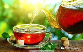 每天饮茶量专业指南 健康饮茶的科学建议