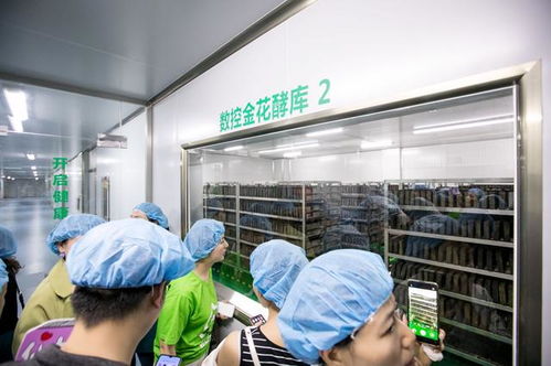 淘小铺枫叶联盟掌柜参观轻轻茶 携手探索茶叶新方向