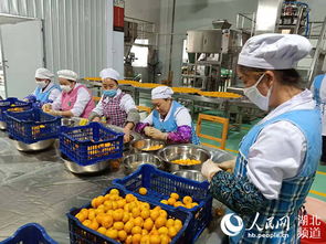 金融跨界融合，湖北小橘红茶叶绽放亿元产业光芒